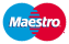 Maestro Cards accepted securely